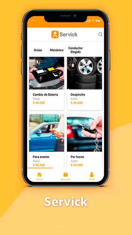 Servick: Servicios profesional