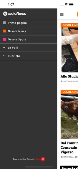 Game screenshot OssolaNews hack
