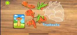 Game screenshot Zabawy dla Dzieci - Zagadki hack