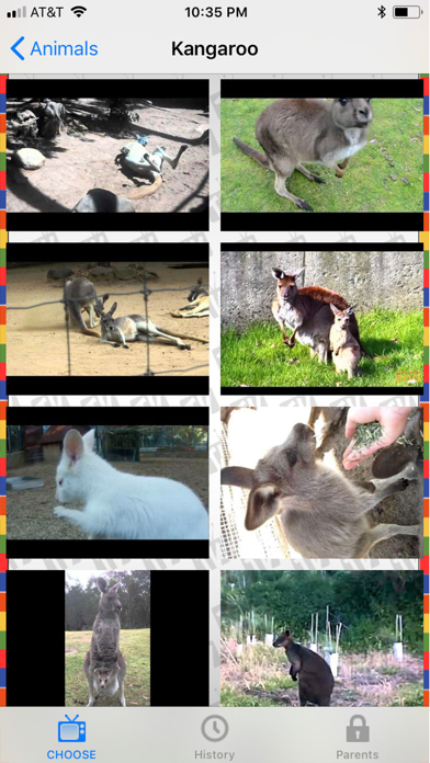 Screenshot #9 for PlayCorner TV