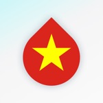 Download Learn Vietnamese Language fast app