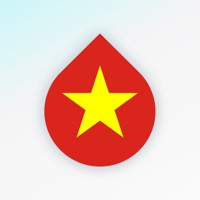 Learn Vietnamese Language fast logo