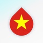 Learn Vietnamese Language fast app download