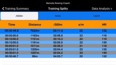 Remote Rowing Coach Screenshot