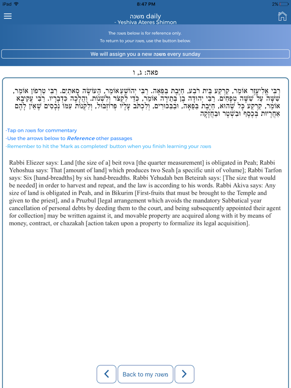 Screenshot #4 pour Siyum Daily
