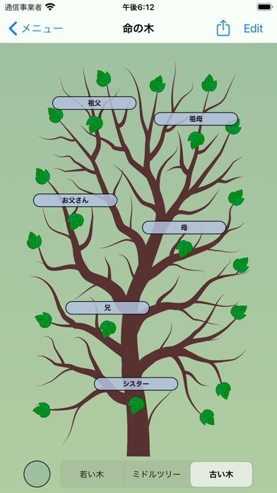 生命の木-家系図のおすすめ画像5