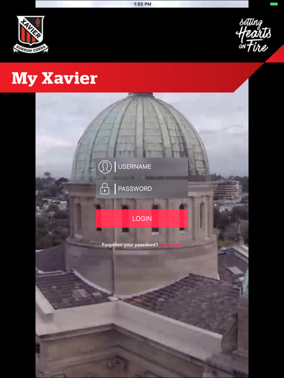 My Xavier