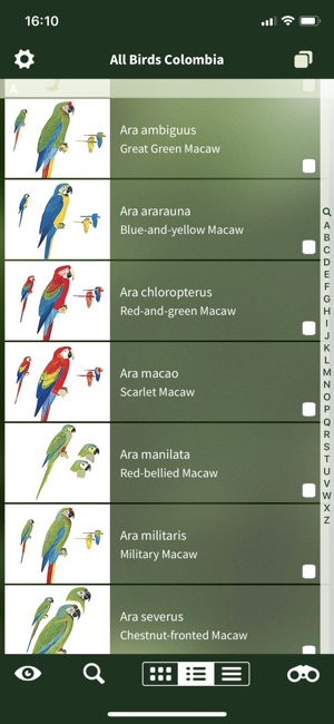 All Birds Colombia field guide(圖9)-速報App