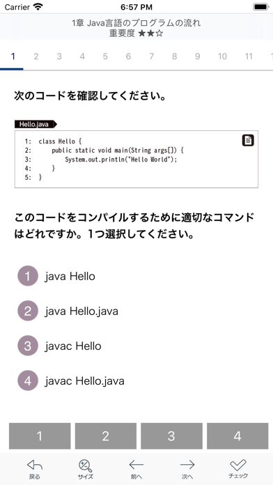 Java Bronze 問題集 screenshot1