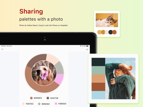 Color Collect - Palette Studioのおすすめ画像4