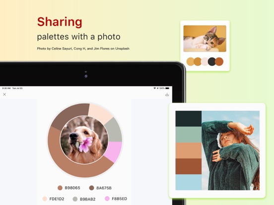 Color Collect - Palette Studio iPad screenshot 4 - Graphics & Design app