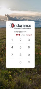 Endurance FCU Mobile screenshot #2 for iPhone