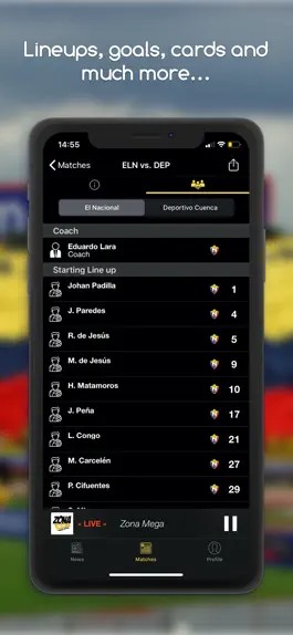 Game screenshot futbol Ecuador hack