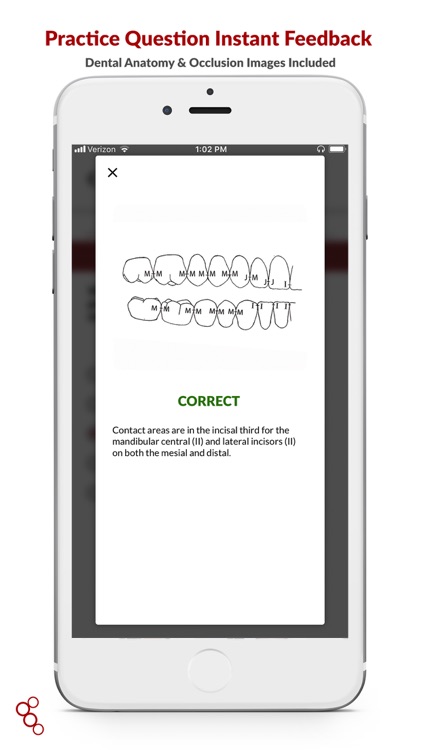 B&B Dental screenshot-5