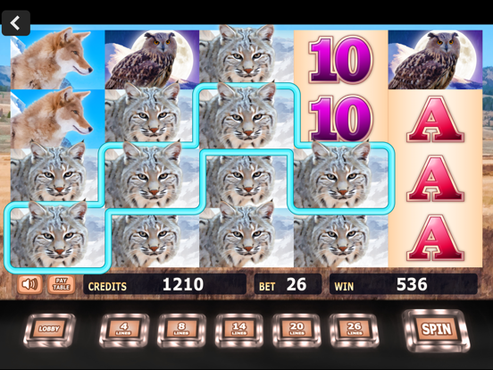 Screenshot #5 pour Fun Casino Slots