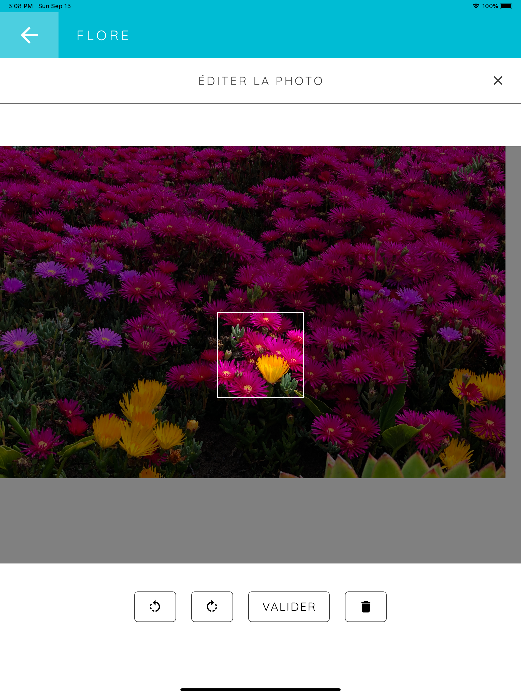 Leximage