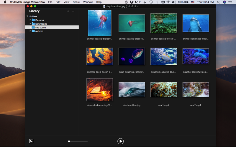 WidsMob Viewer Pro screenshot 3