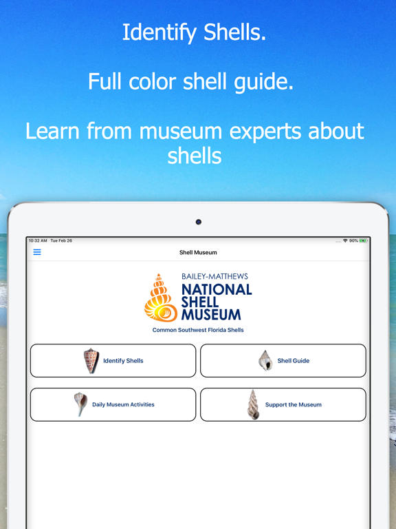 Screenshot #4 pour Shell Museum: Identify Shells