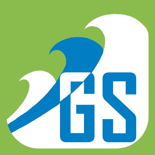 MicroPayments GS