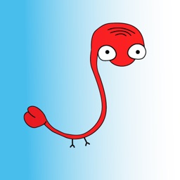 Nabifli Čeština maturita