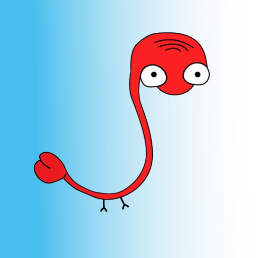 Nabifli Čeština maturita