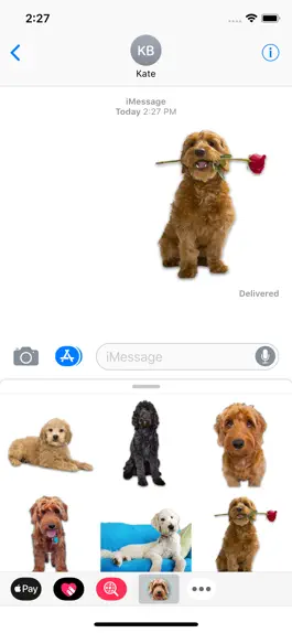 Game screenshot Goldendoodle Sticker Pack apk