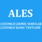 ALES çözümlü sorular