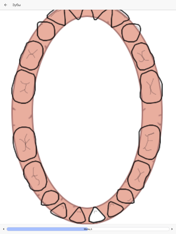 Ребенок Klo iPad screenshot 3 - Reference app