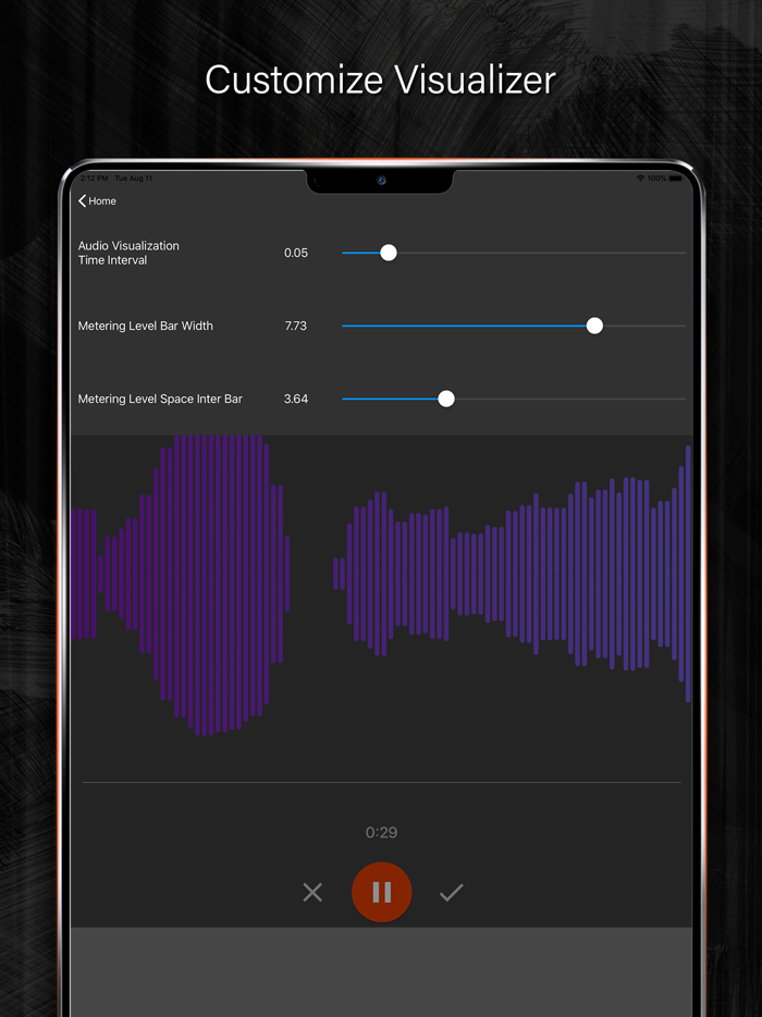 Audio Voice Recorder and Editor