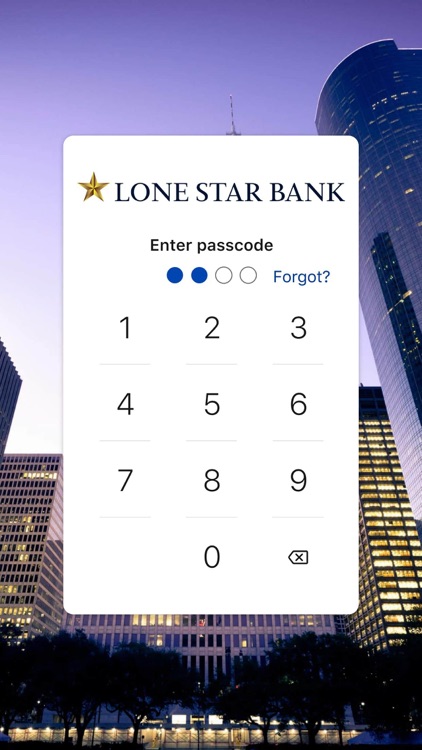 LSBTexas Mobile screenshot-5