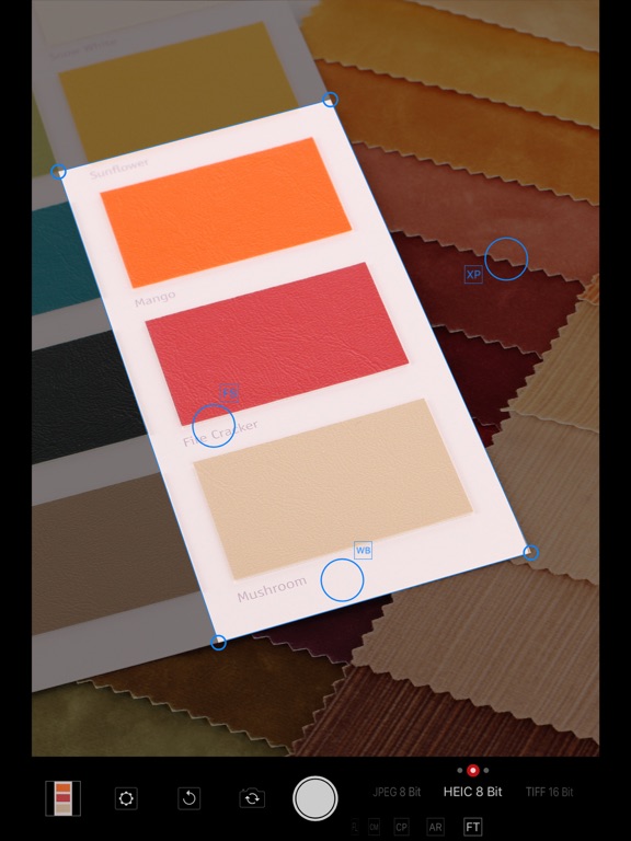 Gimbse Camera iPad screenshot 6 - Photo & Video app