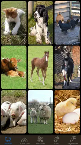 Game screenshot Farm Fun Flash Cards Learning mod apk
