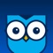 Icon Owl Decide