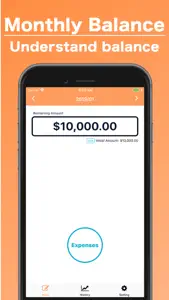 Monthly Balance Recorder screenshot #1 for iPhone
