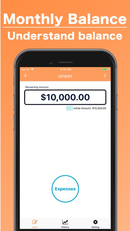 Monthly Balance Recorder