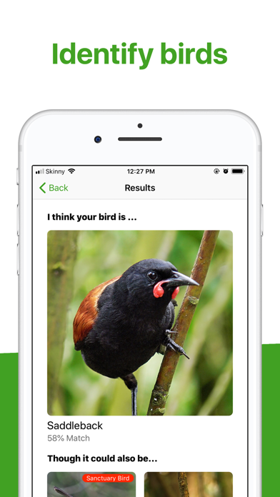 Bird Nerd NZ screenshot 4