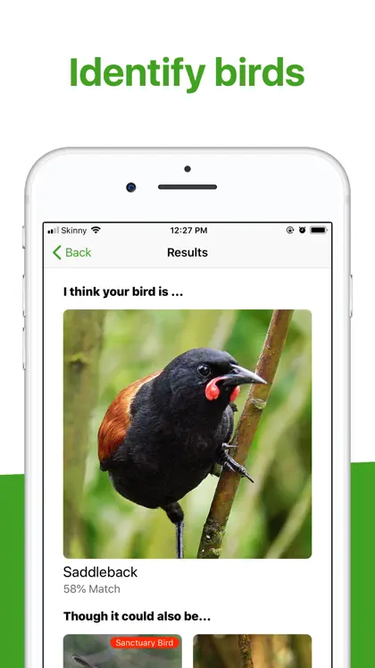 Screenshot 4 von 6 zu Bird Nerd NZ