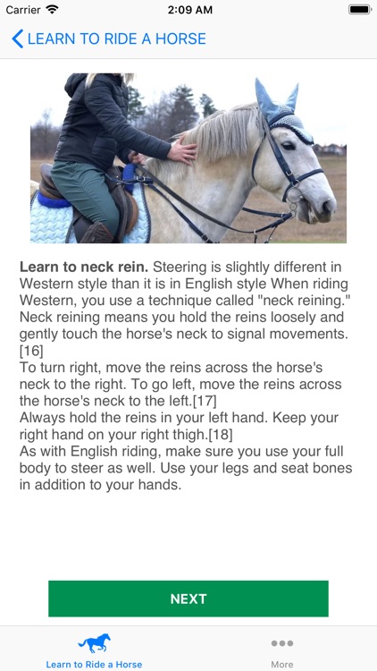 Learn to Ride a Horse screenshot-8