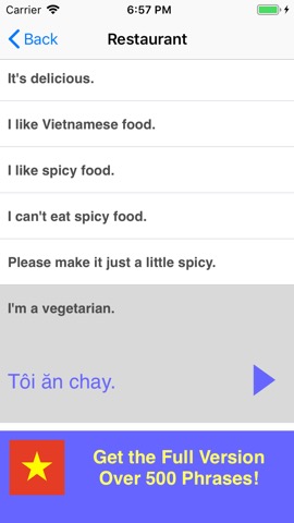 Speak Vietnamese Phrases Liteのおすすめ画像4