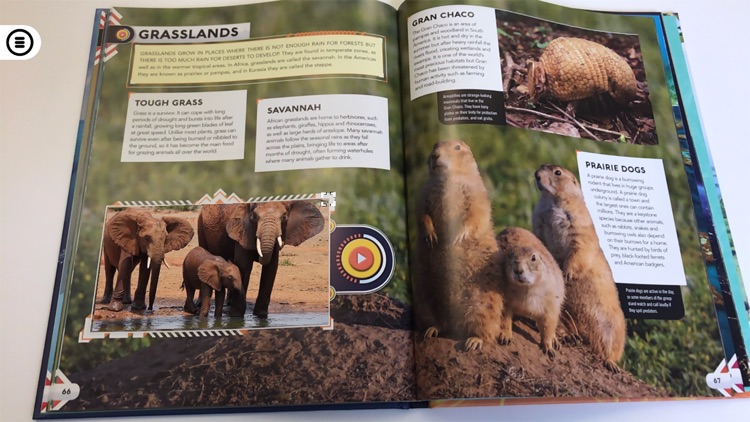 Living Planet screenshot-5