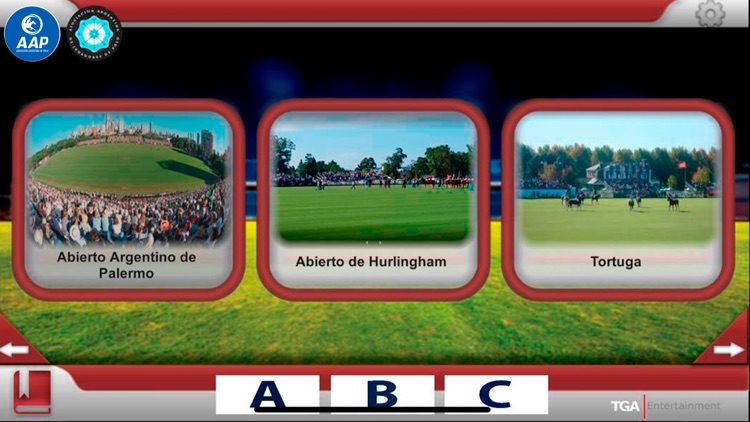 Polo Game screenshot-6