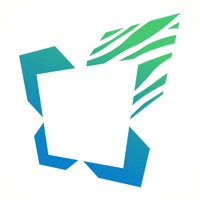 РСО МОС. ОБЛАСТЬ