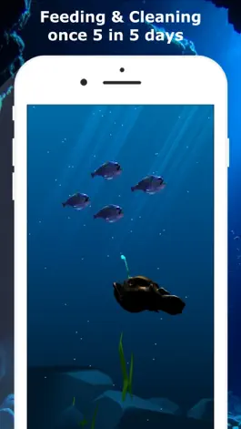 Game screenshot Raise Anglerfish apk