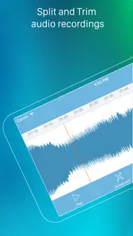 EXtra Voice Recorder Pro iphone bilder 1