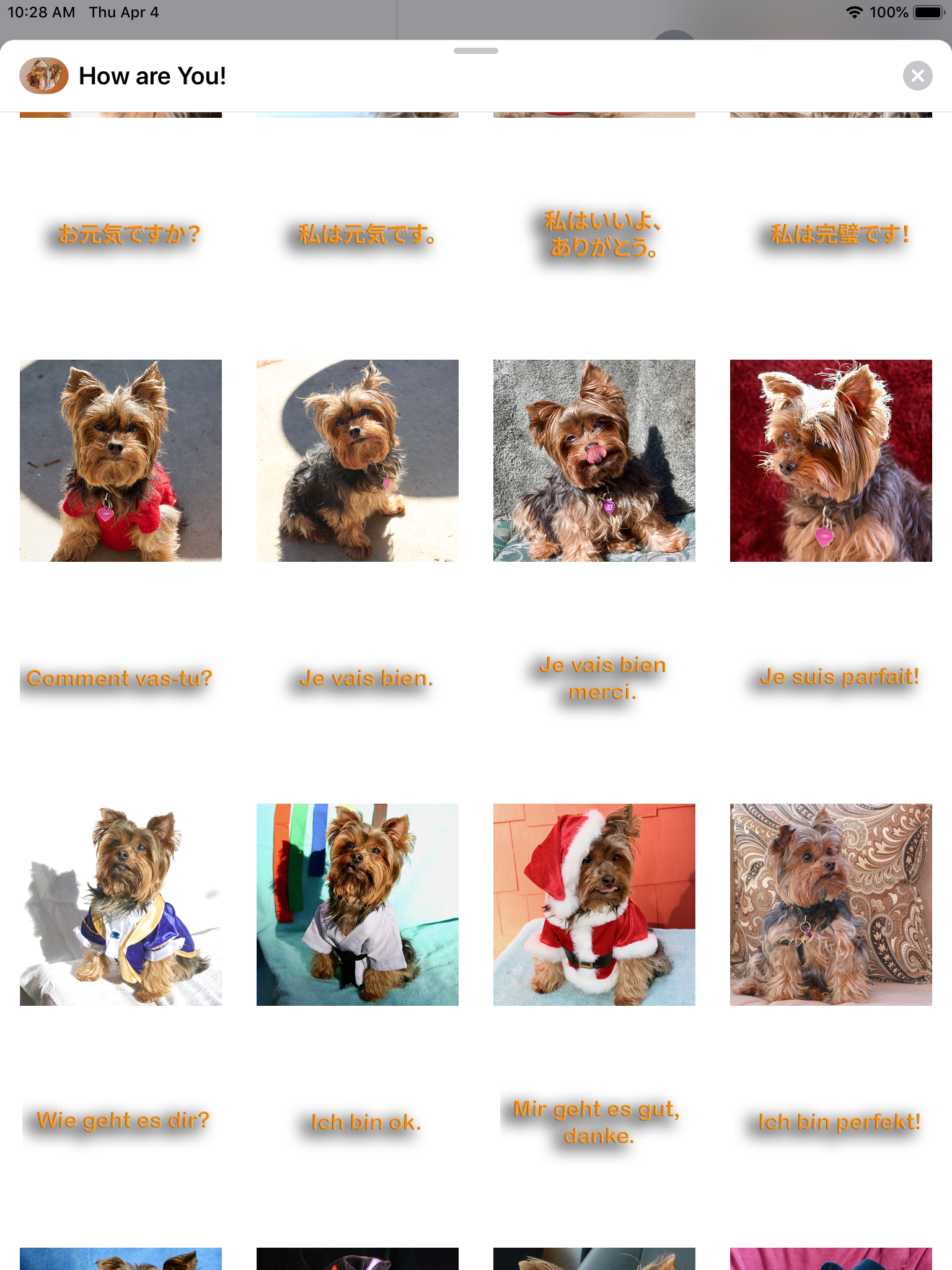 https://is1-ssl.mzstatic.com/image/thumb/Purple124/v4/65/05/3f/65053fa2-0a5b-eb8e-2038-e021f781d7b3/pr_source.png/1536x2048.png