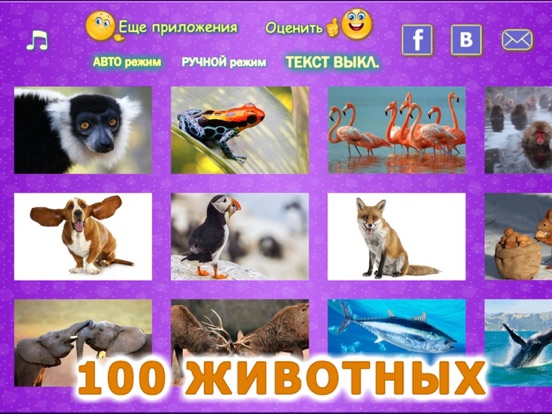 Screenshot #5 pour Животные для детей и малышей 2