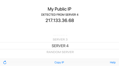 My Public IP Screenshot