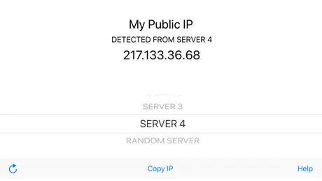 My Public IP