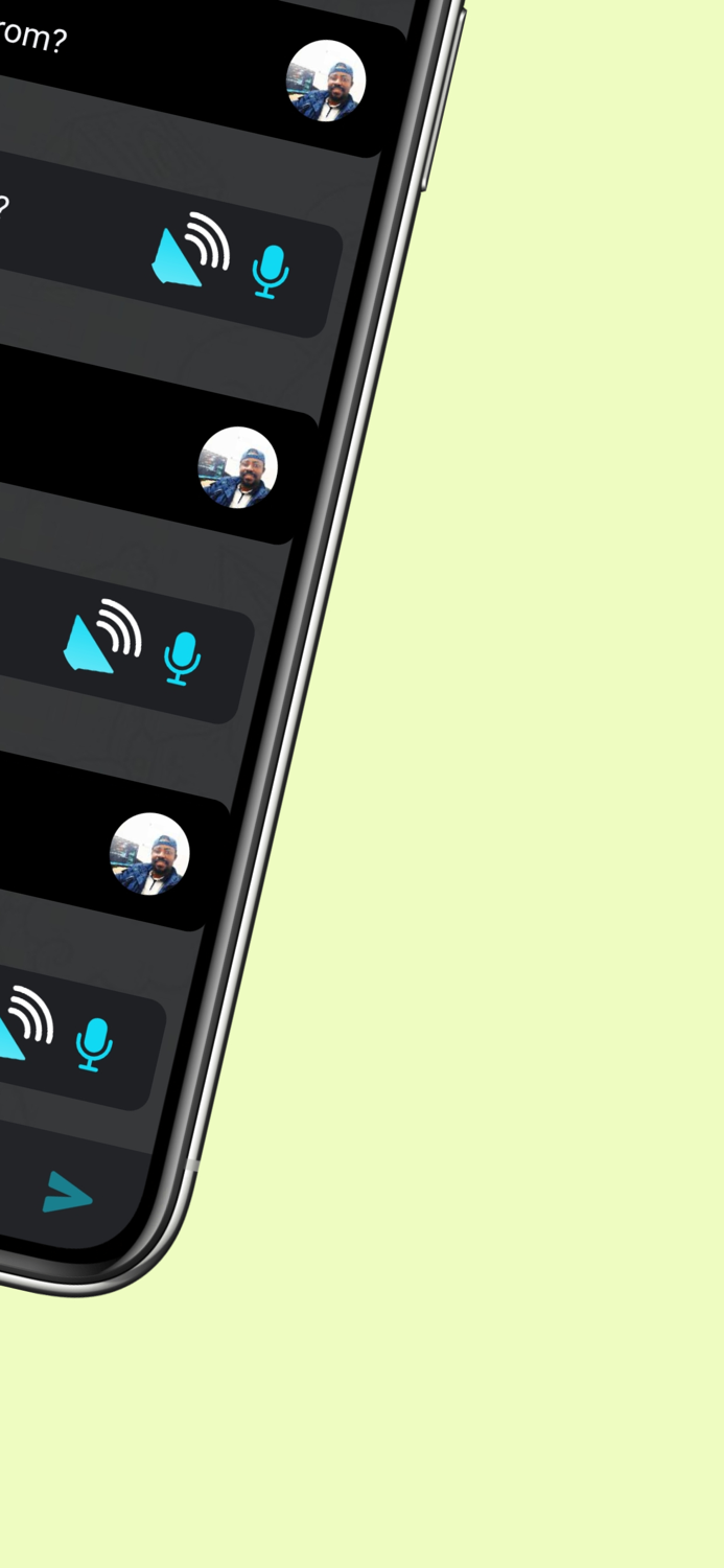 LanguageChat Learn Languages