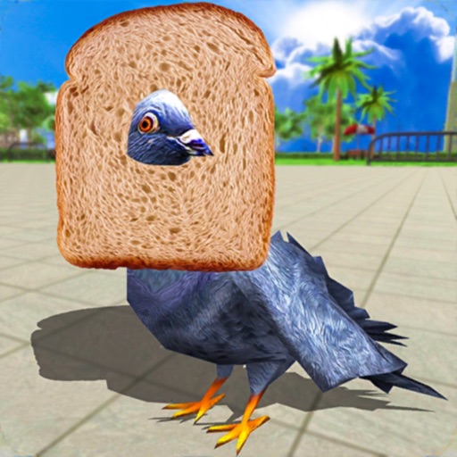 City Bird Pigeon Simulator Icon